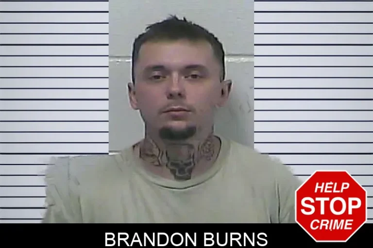 Brandon Burns