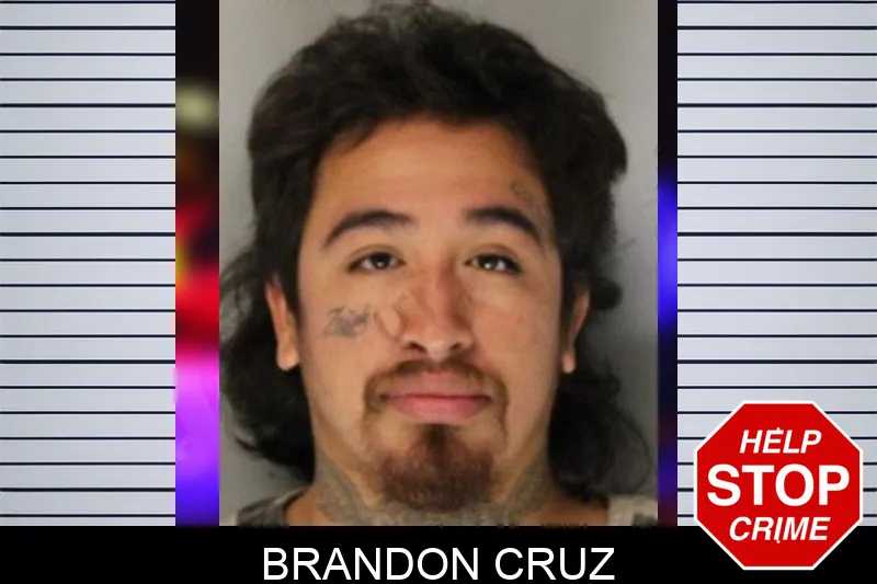 Brandon Cruz mugshot