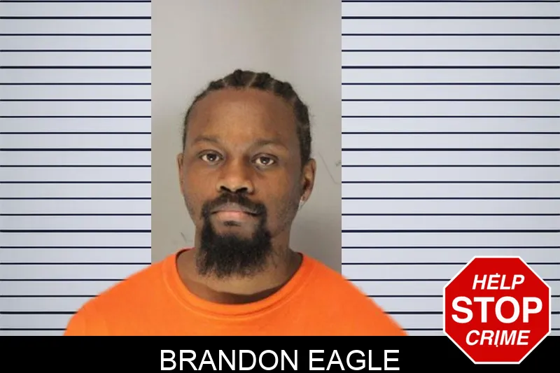 Brandon Eagle mugshot – Hall County , Georgia Brandon Eagle mugshot