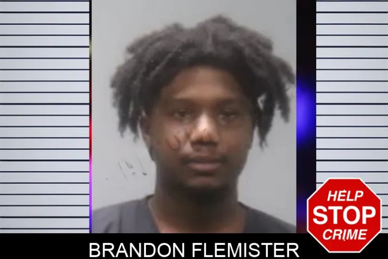 Brandon Flemister
