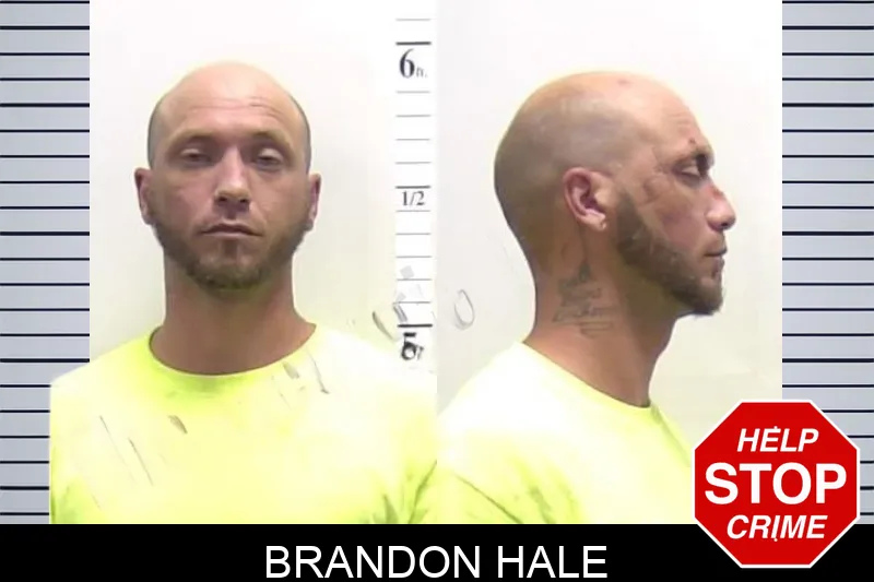 Brandon Hale Mugshots