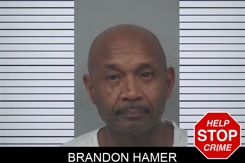 Brandon Hamer mugshot – Gwinnett County , Georgia Brandon Hamer mugshot
