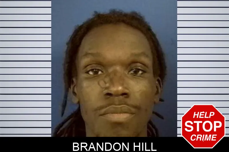 Brandon Hill