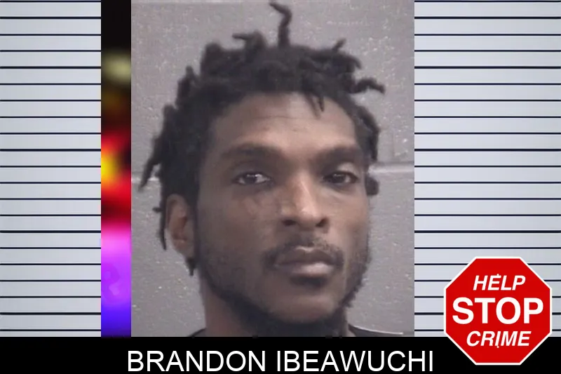 Brandon Ibeawuchi mugshot