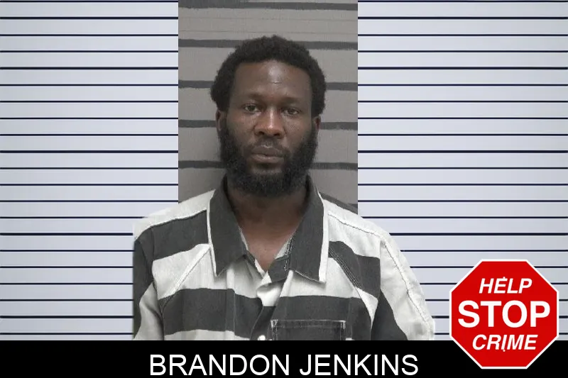 Brandon Jenkins mugshot