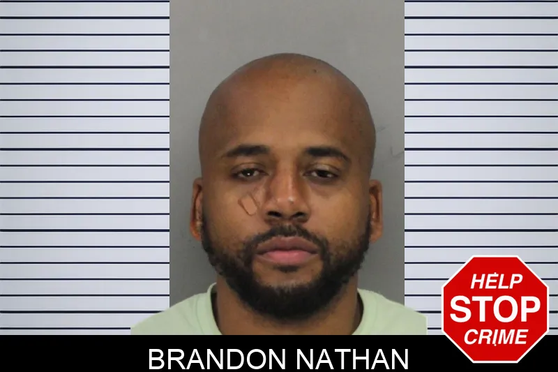 Brandon Nathan Mugshots