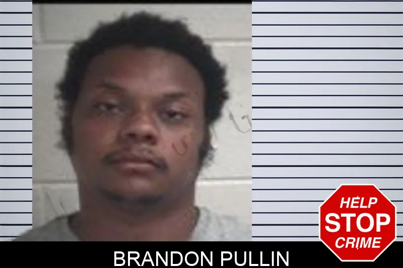 Brandon Pullin Mugshots