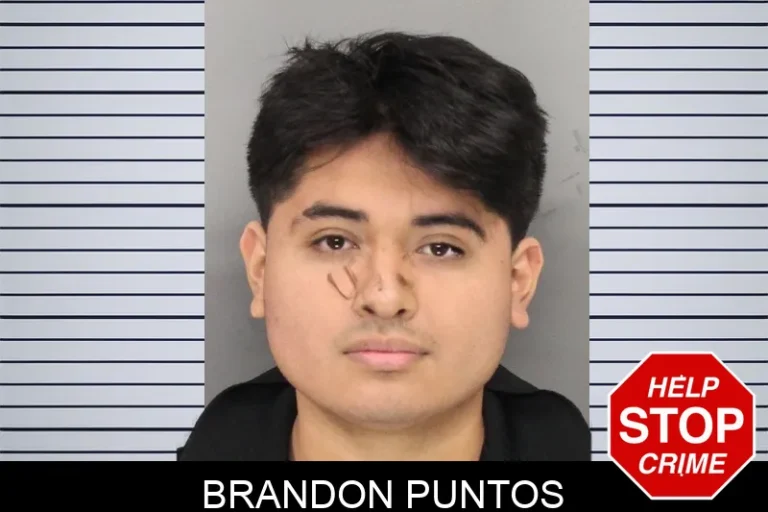 Brandon Puntos mugshot – Cobb County , Georgia Brandon Puntos