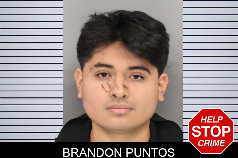 Brandon Puntos Mugshots