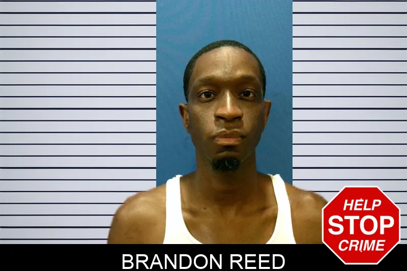 Brandon Reed
