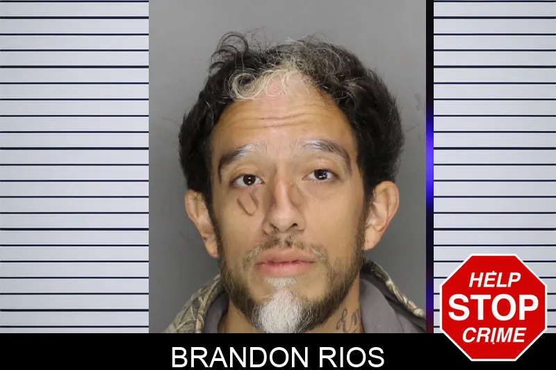 Brandon Rios mugshot – Cobb County , Georgia Brandon Rios mugshot