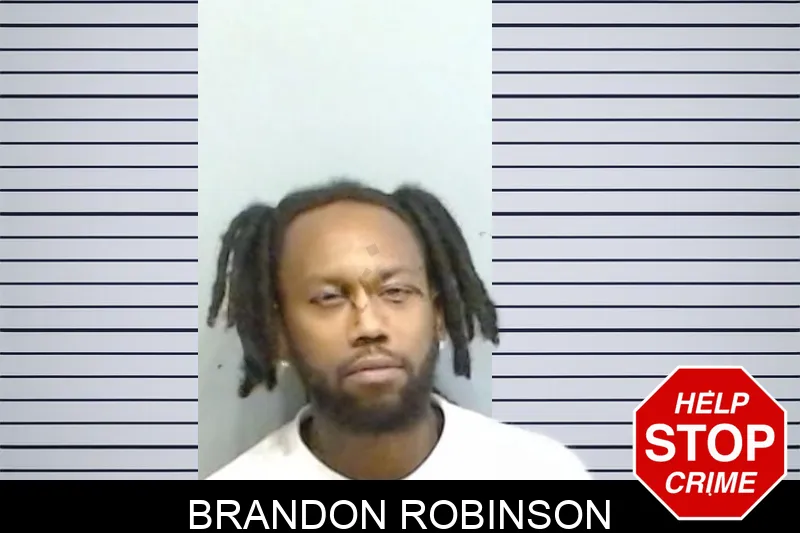 Brandon Robinson Mugshots