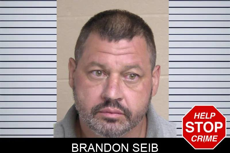 Brandon Seib mugshot