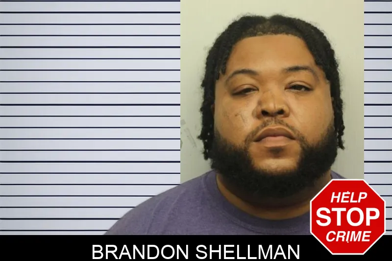 Brandon Shellman mugshot