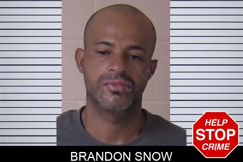 Brandon Snow mugshot