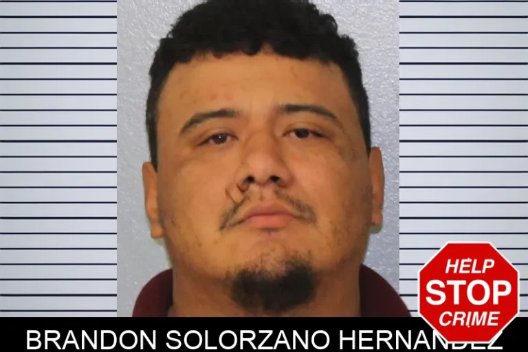 Brandon Solorzano Hernandez