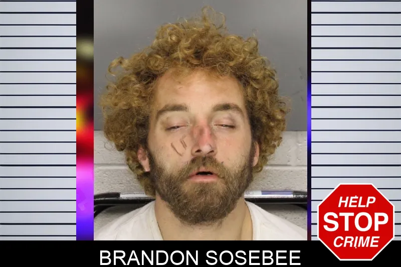 Brandon Sosebee Mugshots