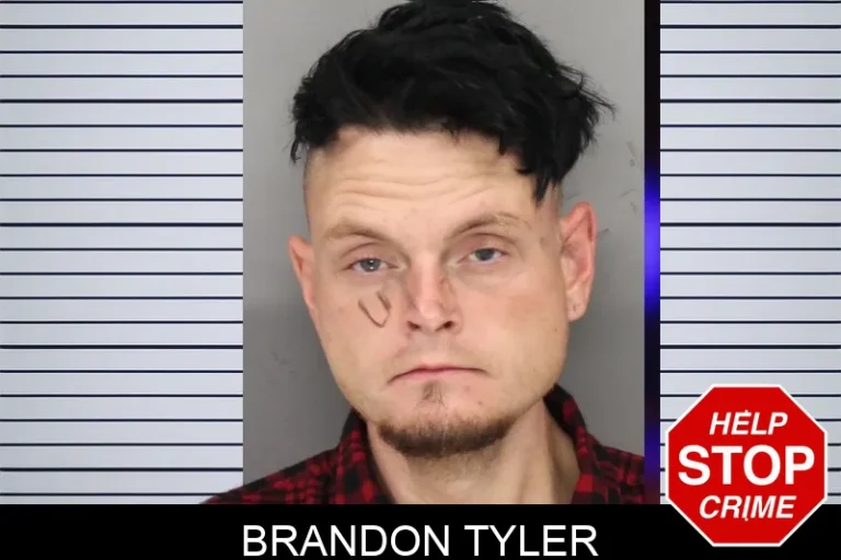Brandon Tyler mugshot – Cobb County , Georgia Brandon Tyler