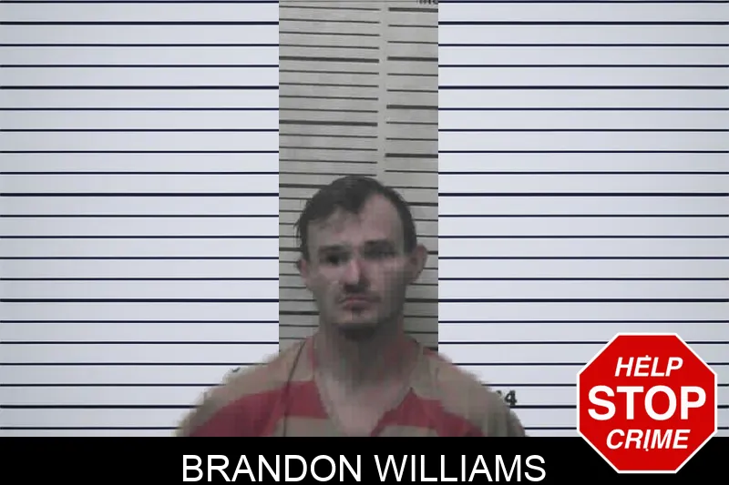 Brandon Williams