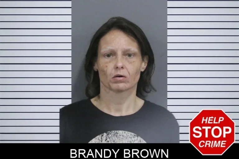 Brandy Brown mugshot – Catoosa County , Georgia Brandy Brown