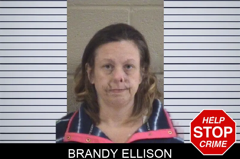 Brandy Ellison mugshot