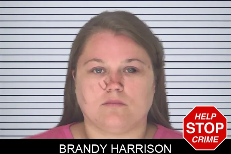 Brandy Harrison