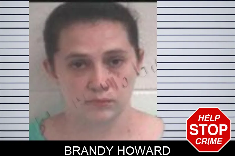 Brandy Howard Mugshots