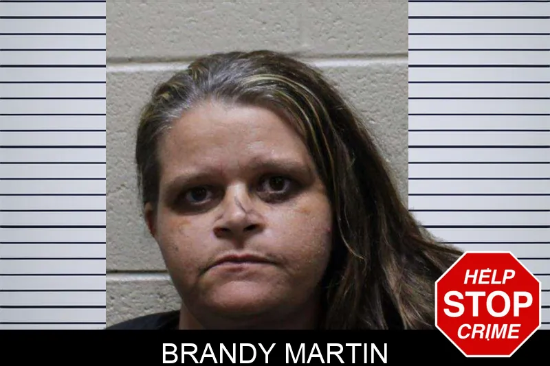Brandy Martin mugshot