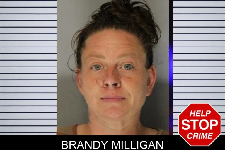 Brandy Milligan mugshot – Hall County , Georgia Brandy Milligan