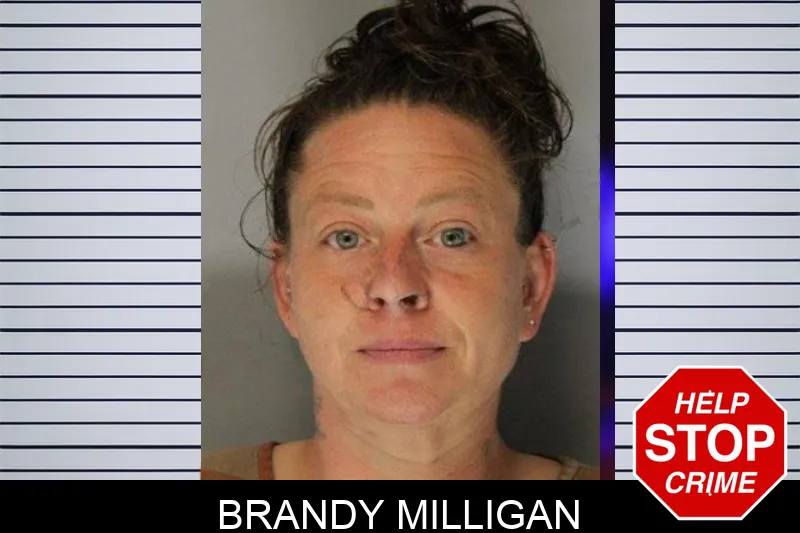 Brandy Milligan Mugshots