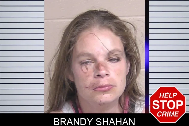 Brandy Shahan