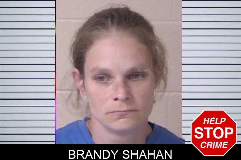Brandy Shahan mugshot