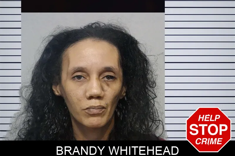 Brandy Whitehead mugshot