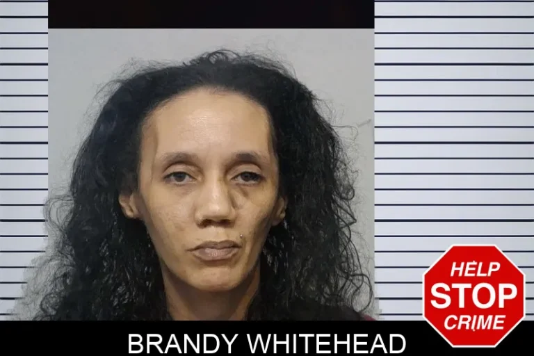Brandy Whitehead