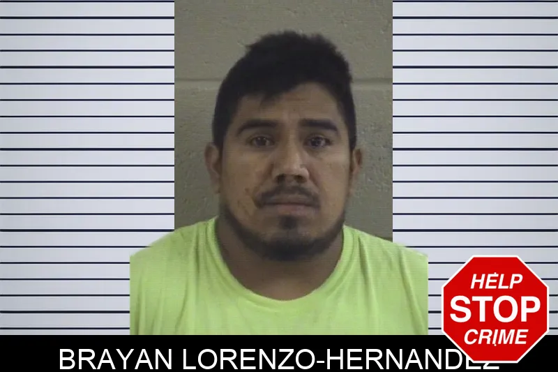 Brayan Lorenzo-Hernandez Mugshots
