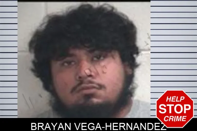 Brayan Vega-Hernandez