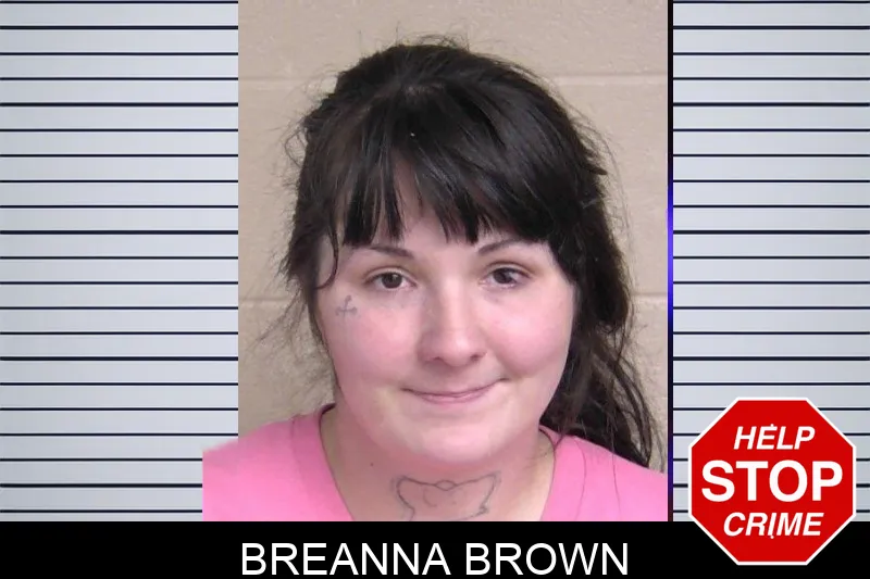 Breanna Brown Mugshots