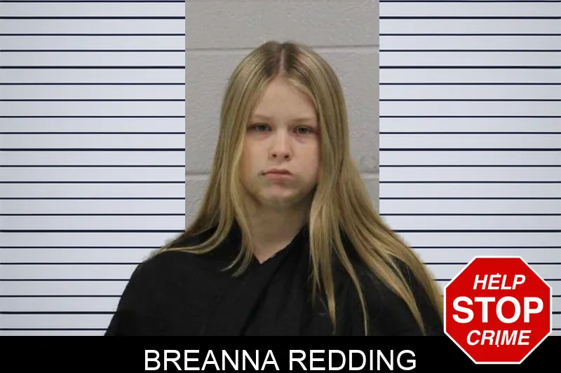 Breanna Redding mugshot – Carroll County , Georgia Breanna Redding mugshot