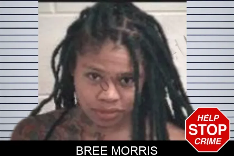 Bree Morris mugshot – Henry County , Georgia Bree Morris