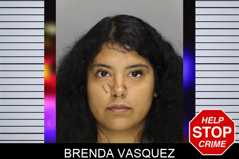 Brenda Vasquez mugshot – Cobb County , Georgia Brenda Vasquez mugshot
