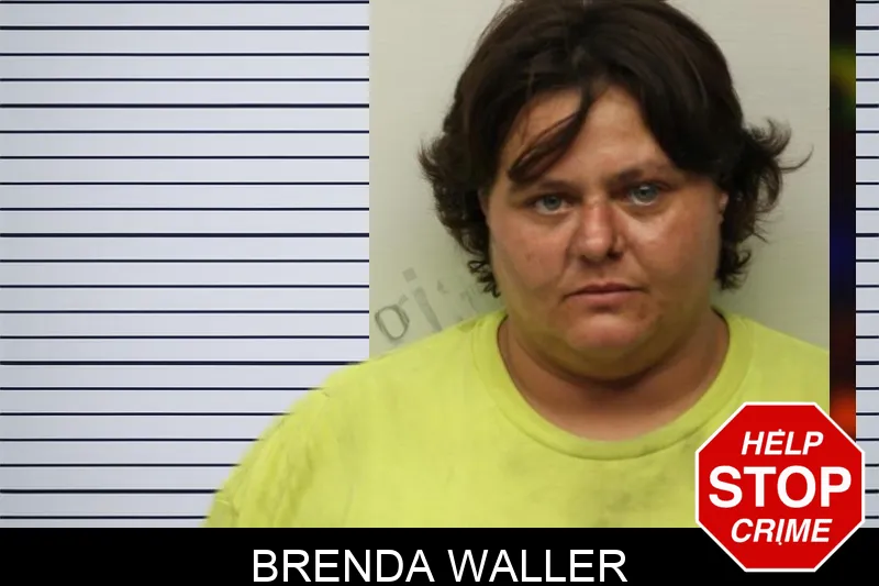 Brenda Waller mugshot – Chatham County , Georgia Brenda Waller mugshot