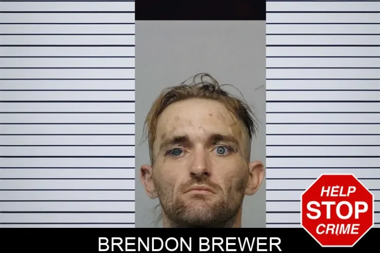 Brendon Brewer mugshot – Bibb County , Georgia Brendon Brewer