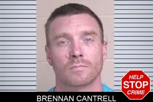 Brennan Cantrell mugshot