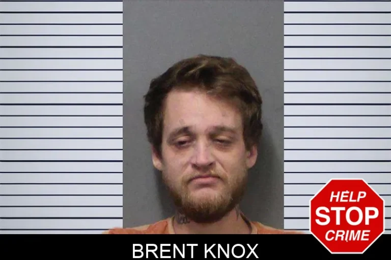 Brent Knox