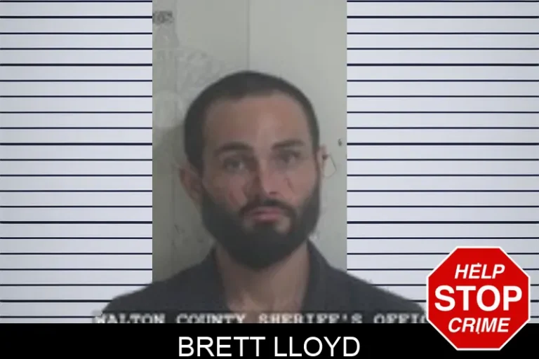 Brett Lloyd
