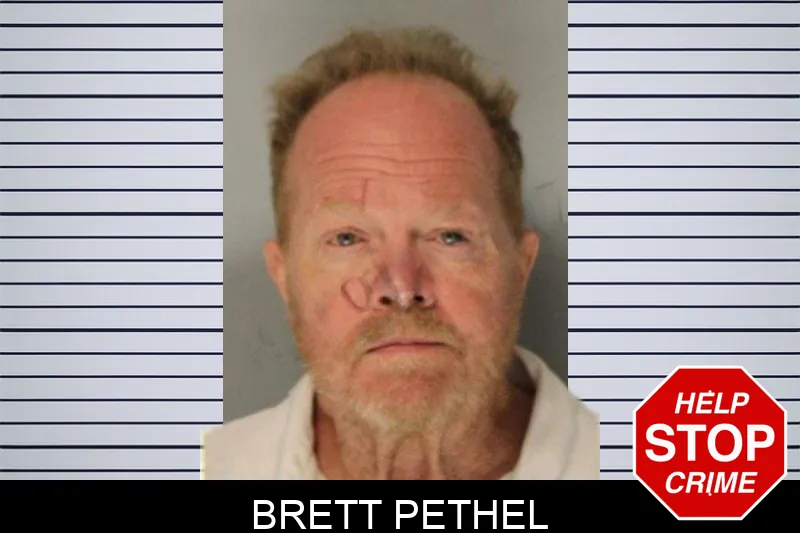 Brett Pethel mugshot – Hall County , Georgia Brett Pethel mugshot