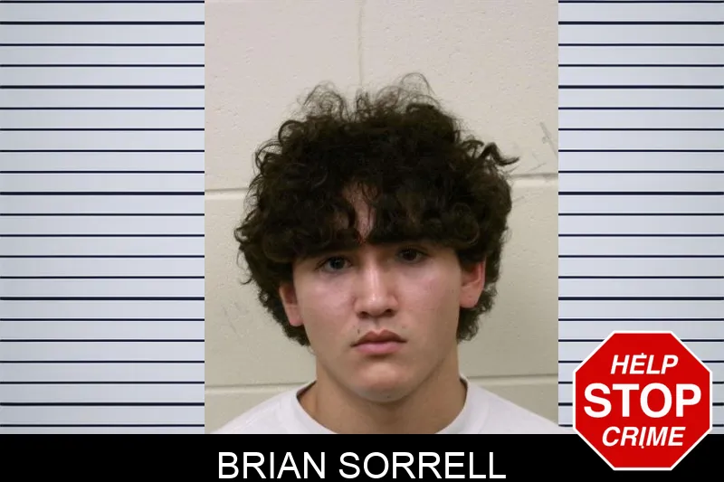 Brian Sorrell