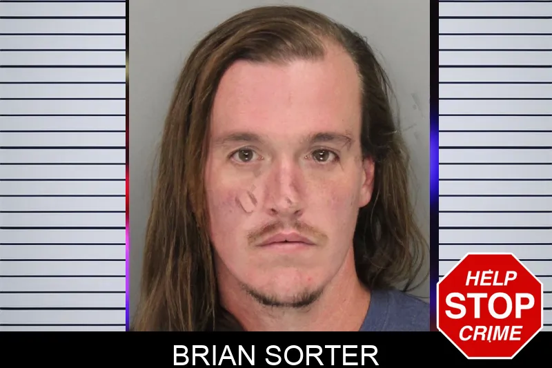 Brian Sorter mugshot