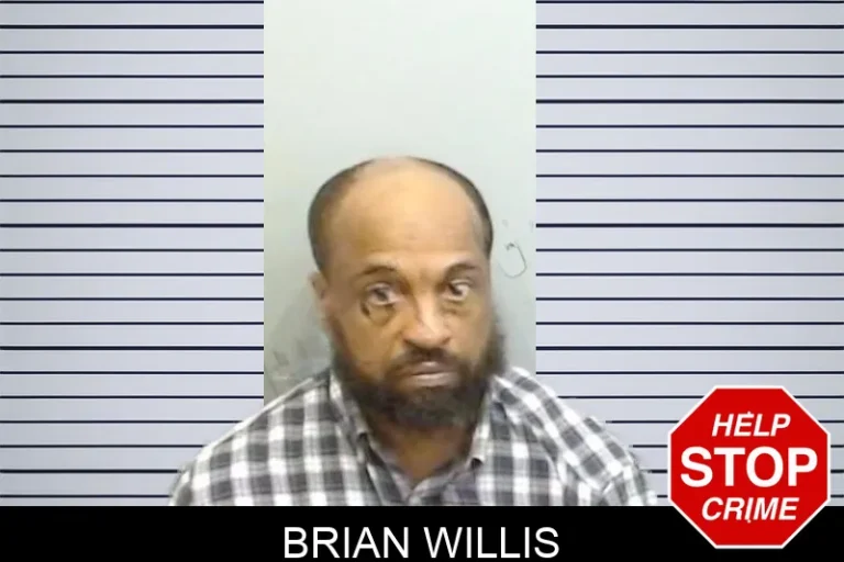 Brian Willis