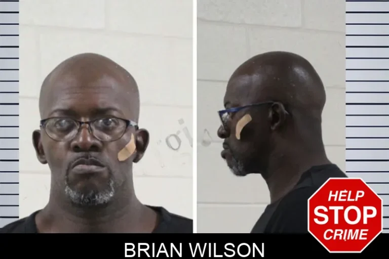 Brian Wilson mugshot – Houston County , Georgia Brian Wilson